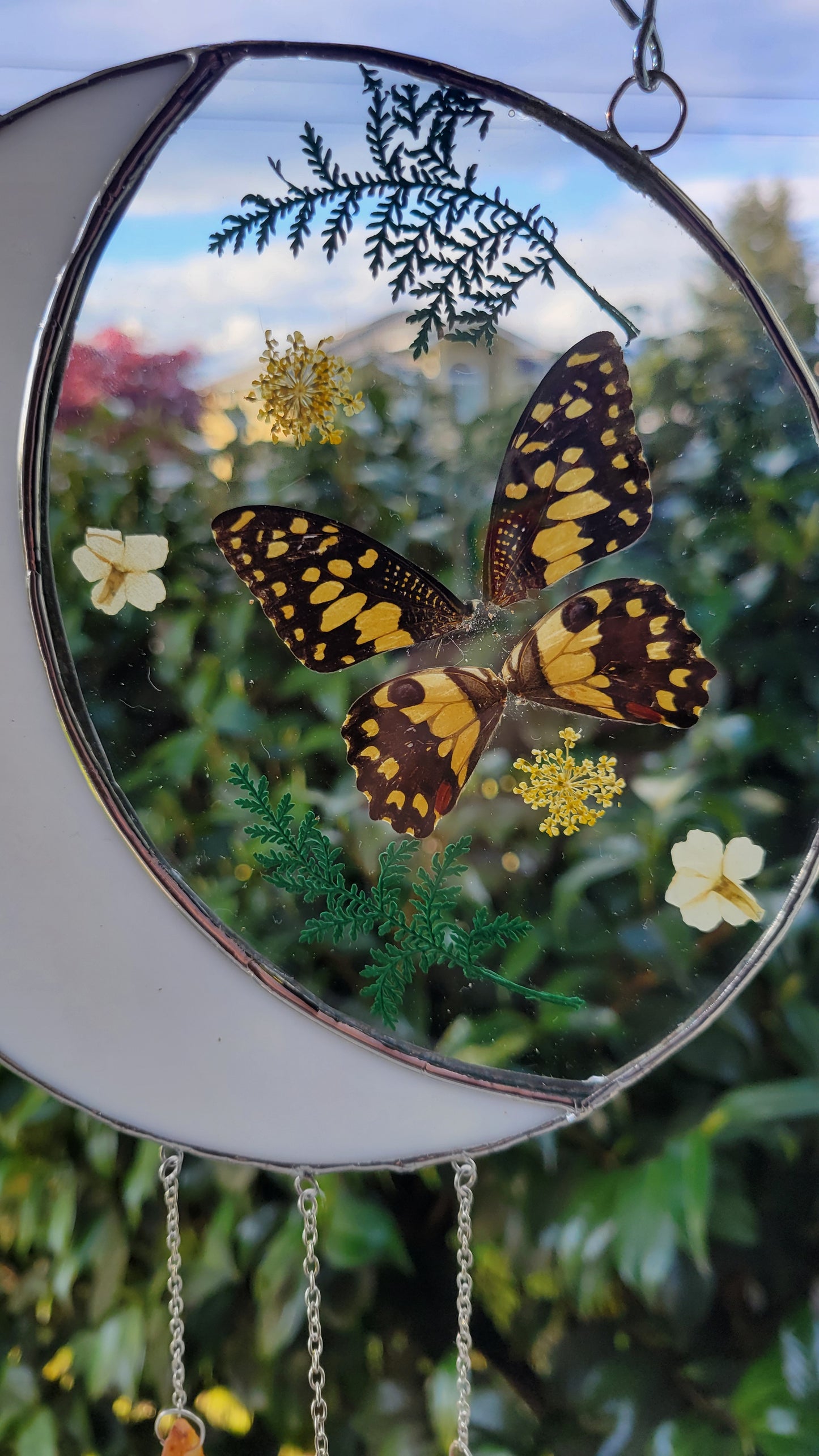 Yellow Butterfly Moon with Agate