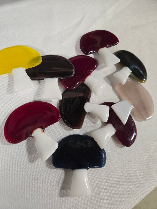 Mushroom Magnets