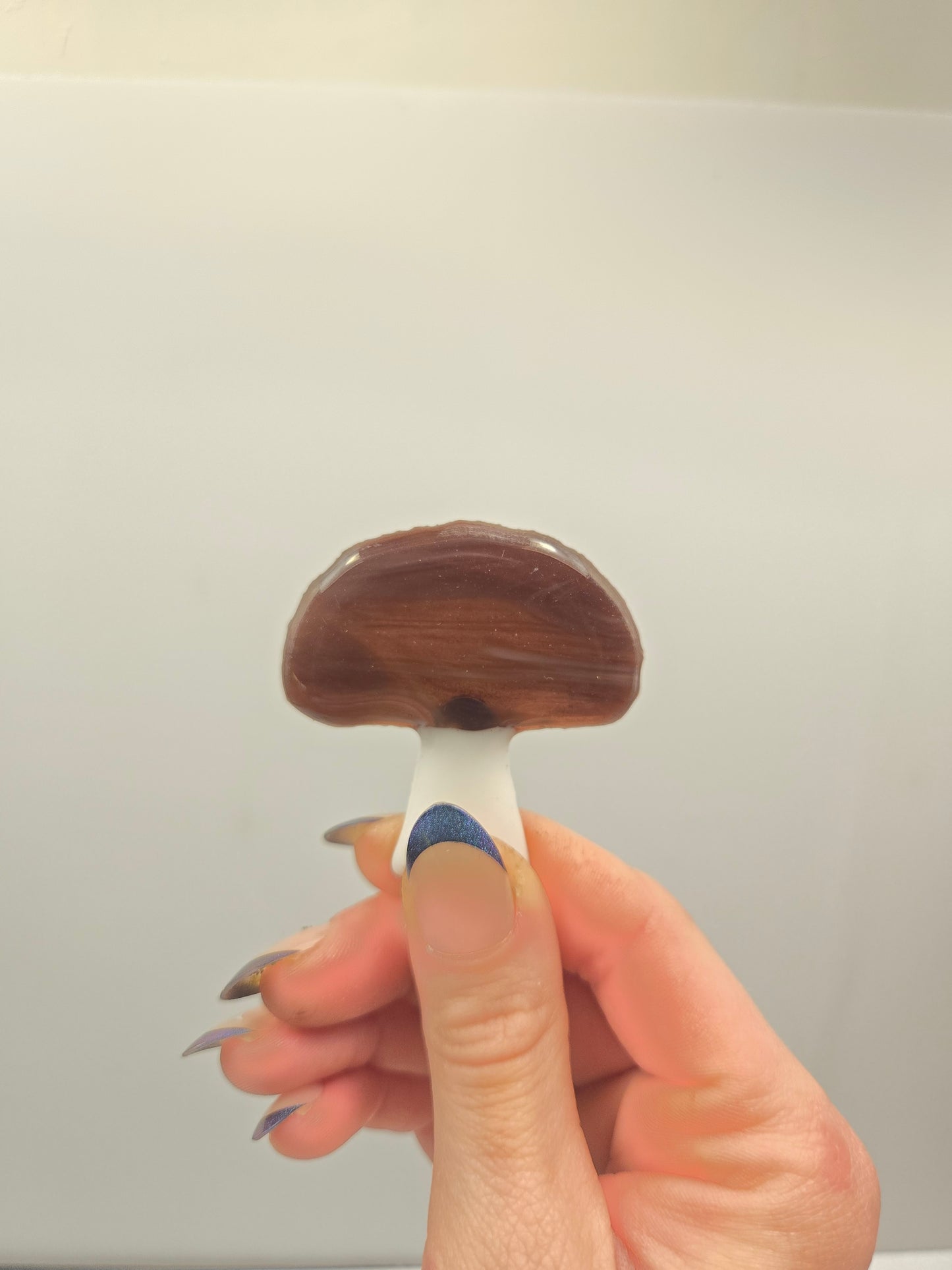 Mushroom Magnets