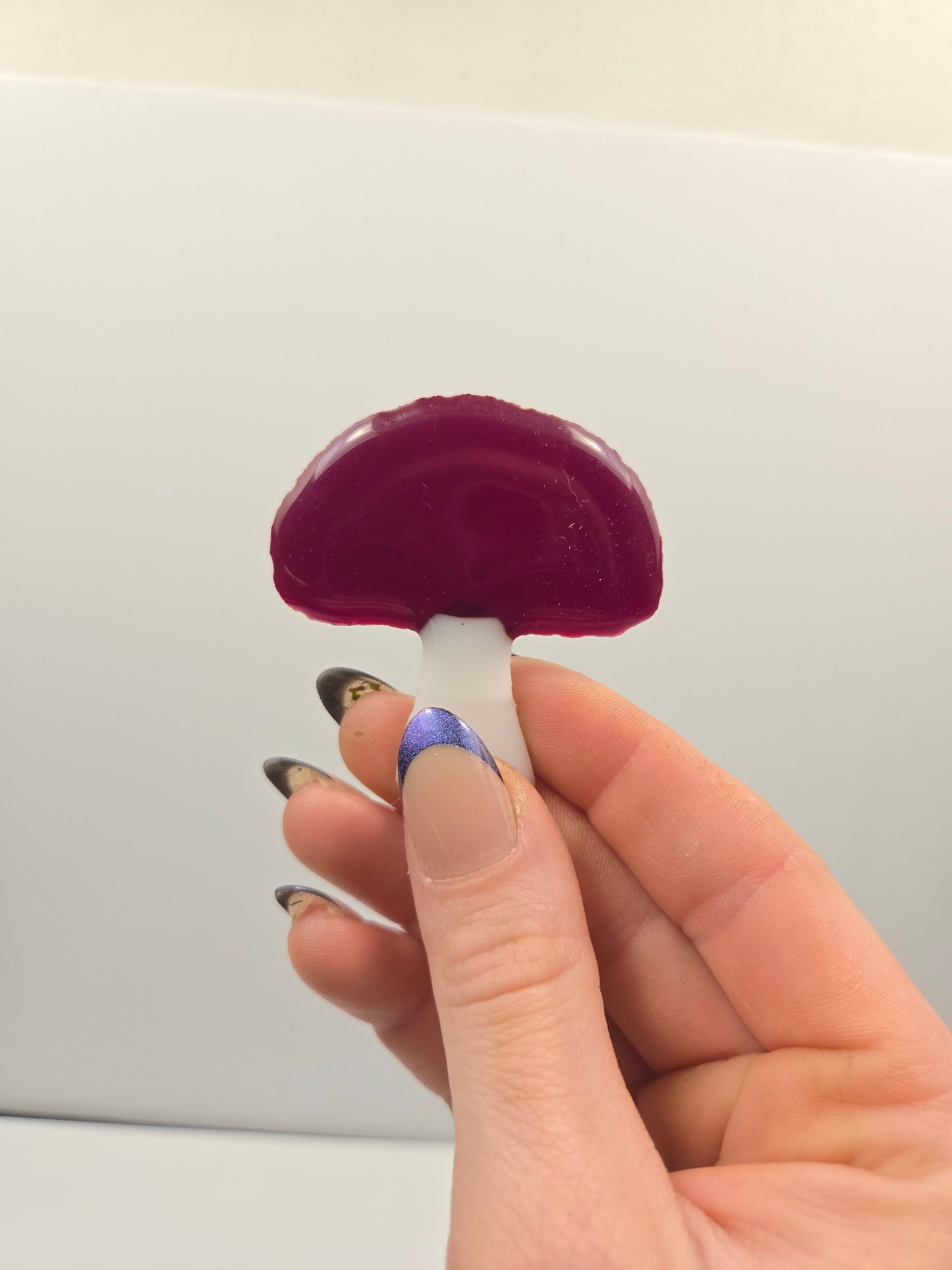 Mushroom Magnets