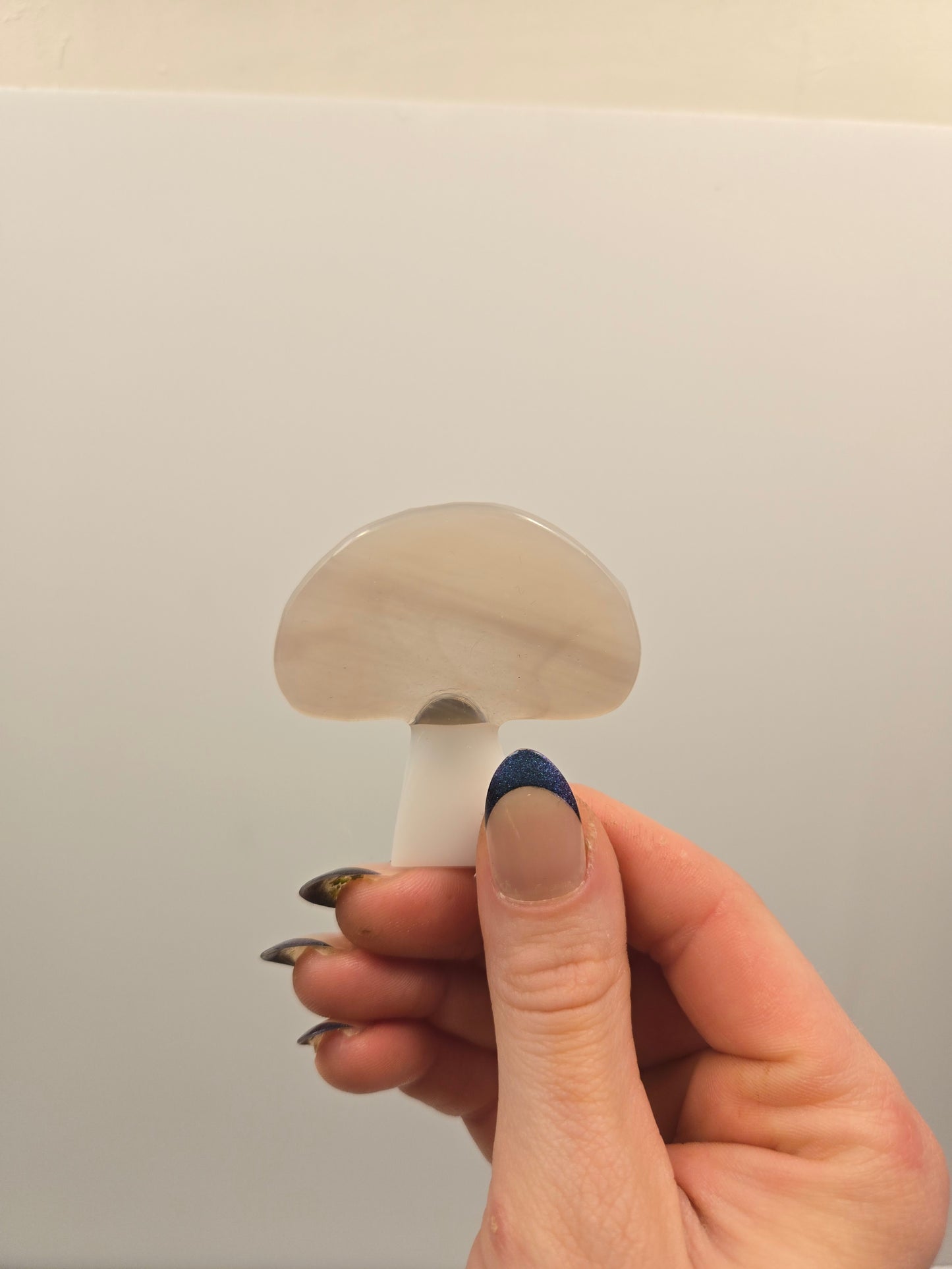 Mushroom Magnets