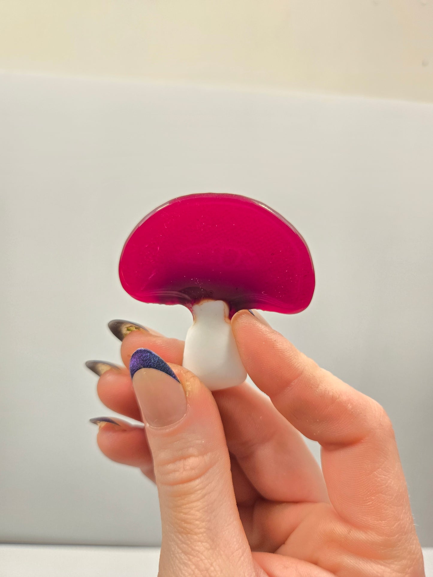 Mushroom Magnets