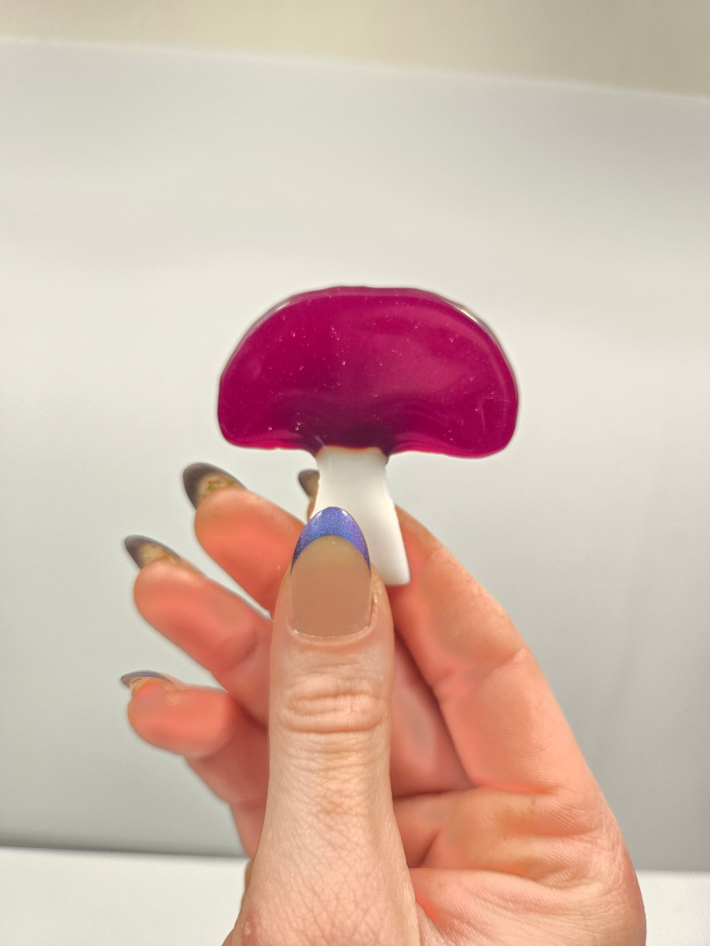 Mushroom Magnets